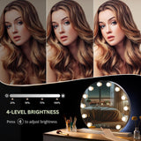 Round Hollywood Vanity Mirror with 12 LED Lights, 50cm/20" Large, 3 Light Mode, Smart Touch, Adjustable Brightness, Plug Charge