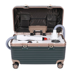 FREYARA LASER FacialPure 4.0, Portable Small Trolley Case Non-invasive Laser Picosecond Machine, Tattoo Remover and Eyebrow Removal