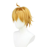 Anime Cosplay Wig, Tartaglia Genshin Impact