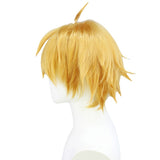 Anime Cosplay Wig, Tartaglia Genshin Impact